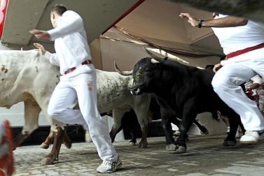 Imágenes del segundo encierro de los Sanfermines 2011 protagonizado por toros de la ganadería Cebada Gago.