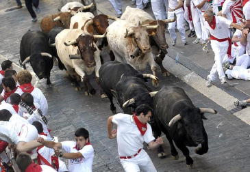 El segundo encierro de los Sanfermines 2011, protagonizado por toros de la ganadería Cebada Gago, ha dejado un corneado, un puntazo y seis heridos por contusiones y traumatismos