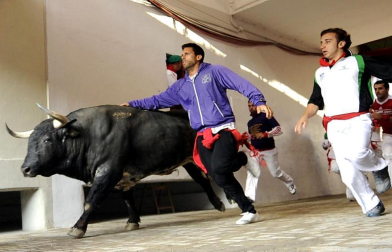Imágenes del segundo encierro de los Sanfermines 2011 protagonizado por toros de la ganadería Cebada Gago.