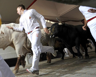 Imágenes del segundo encierro de los Sanfermines 2011 protagonizado por toros de la ganadería Cebada Gago.
