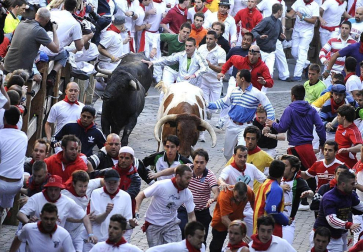 Imágenes del segundo encierro de los Sanfermines 2011 protagonizado por toros de la ganadería Cebada Gago.