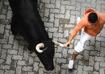 Tercer encierro de los Sanfermines 2011 protagonizado por toros de la ganadería Dolores Aguirre.
