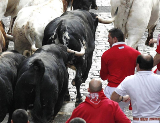 Tercer encierro de los Sanfermines 2011 protagonizado por toros de la ganadería Dolores Aguirre.