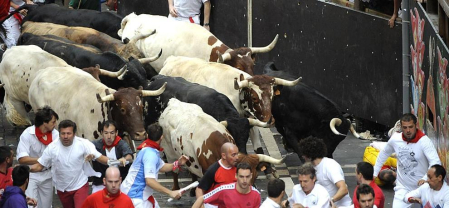 Tercer encierro de los Sanfermines 2011 protagonizado por toros de la ganadería Dolores Aguirre.
