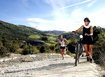 Resumen gráfico de las cinco ediciones de la Roncesvalles-Zubiri