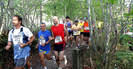 Resumen gráfico de las cinco ediciones de la Roncesvalles-Zubiri