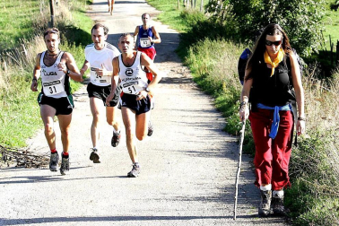 Resumen gráfico de las cinco ediciones de la Roncesvalles-Zubiri