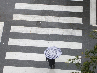 Imágenes de las lluvias intensas que se han precipitado en Navarra durante este fin de semana, en especial en la mitad norte de la Comunidad foral.