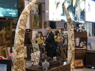 Varios ciudadanos en el recinto ferial de Refena junto a varias piezas del II Desembalaje de Antigüedades