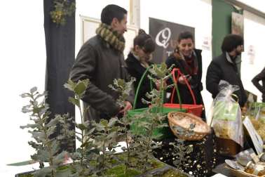 X Feria de la Trufa en Navarra