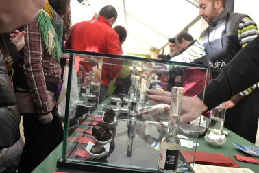 X Feria de la Trufa en Navarra