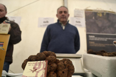 X Feria de la Trufa en Navarra