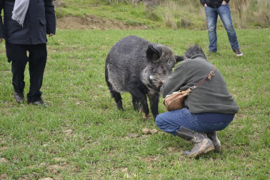 X Feria de la Trufa en Navarra