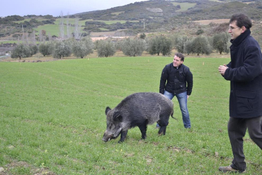 X Feria de la Trufa en Navarra