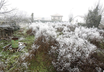 La Cuenca de Pamplona ha amanecido esta mañana rodeada por la niebla