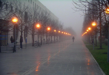 La Cuenca de Pamplona ha amanecido esta mañana rodeada por la niebla