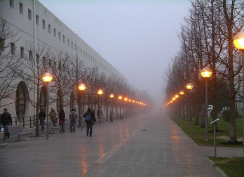 La Cuenca de Pamplona ha amanecido esta mañana rodeada por la niebla