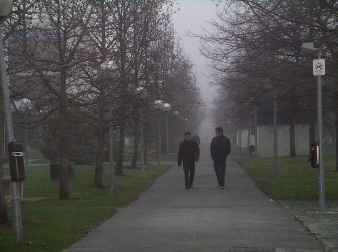 La Cuenca de Pamplona ha amanecido esta mañana rodeada por la niebla