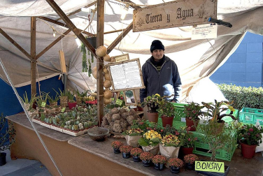 Ferias de Tafalla celebradas el fin de semana del 11 de febrero
