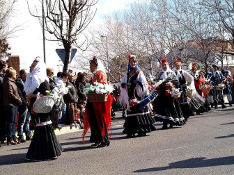 Imágenes del Gran desfile de Carnaval en Tudela