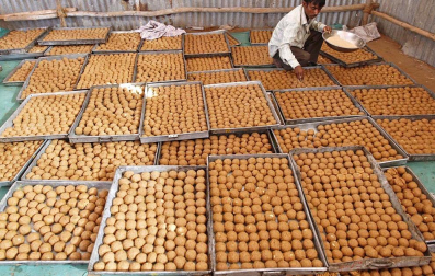Trabajadores disponen 'laddus' (dulces) en una cocina en Ahmedabad, una ciudad al oeste de la India. Más de 300.000 'laddus' fueron fabricados para el banquete de una ceremonia religiosa organizada para el Brahmins, la casta superior de hindús.