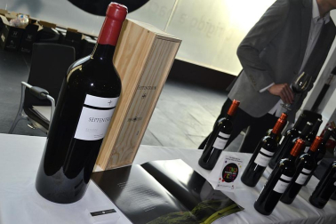 Imágenes de la muestra VinoFest 2012, el evento que da la bienvenida a los nuevos vinos D.O.Navarra