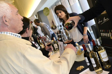 Imágenes de la muestra VinoFest 2012, el evento que da la bienvenida a los nuevos vinos D.O.Navarra