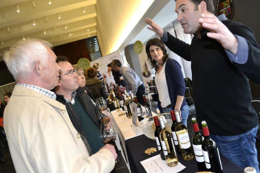 Imágenes de la muestra VinoFest 2012, el evento que da la bienvenida a los nuevos vinos D.O.Navarra