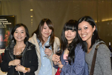 Imágenes de la muestra VinoFest 2012, el evento que da la bienvenida a los nuevos vinos D.O.Navarra