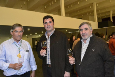 Imágenes de la muestra VinoFest 2012, el evento que da la bienvenida a los nuevos vinos D.O.Navarra
