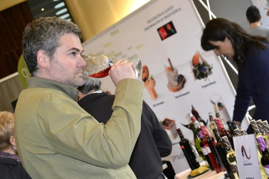 Imágenes de la muestra VinoFest 2012, el evento que da la bienvenida a los nuevos vinos D.O.Navarra