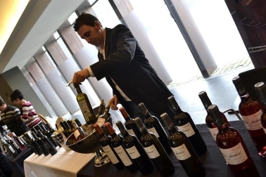 Imágenes de la muestra VinoFest 2012, el evento que da la bienvenida a los nuevos vinos D.O.Navarra