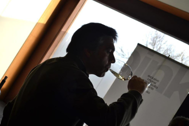 Imágenes de la muestra VinoFest 2012, el evento que da la bienvenida a los nuevos vinos D.O.Navarra
