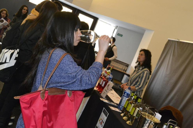 Imágenes de la muestra VinoFest 2012, el evento que da la bienvenida a los nuevos vinos D.O.Navarra