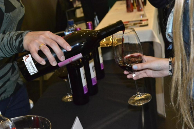 Imágenes de la muestra VinoFest 2012, el evento que da la bienvenida a los nuevos vinos D.O.Navarra