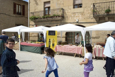 La feria del Espárrago acogió el XXII Capítulo de su cofradía con 23 invitados y una apuesta clara por el producto en una fiesta multitudinaria