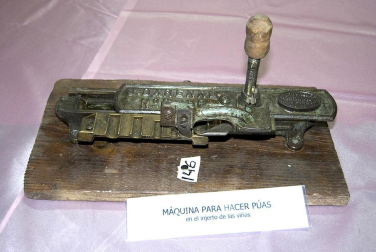 La feria del Espárrago acogió el XXII Capítulo de su cofradía con 23 invitados y una apuesta clara por el producto en una fiesta multitudinaria