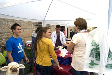 La feria del Espárrago acogió el XXII Capítulo de su cofradía con 23 invitados y una apuesta clara por el producto en una fiesta multitudinaria