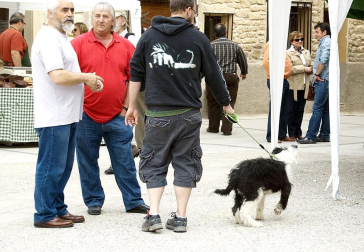 La feria del Espárrago acogió el XXII Capítulo de su cofradía con 23 invitados y una apuesta clara por el producto en una fiesta multitudinaria