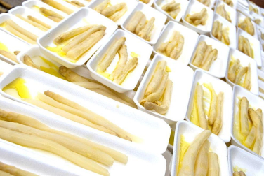 La feria del Espárrago acogió el XXII Capítulo de su cofradía con 23 invitados y una apuesta clara por el producto en una fiesta multitudinaria