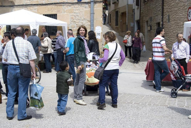 La feria del Espárrago acogió el XXII Capítulo de su cofradía con 23 invitados y una apuesta clara por el producto en una fiesta multitudinaria