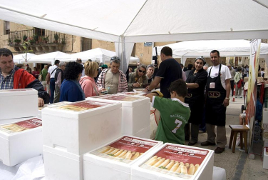 La feria del Espárrago acogió el XXII Capítulo de su cofradía con 23 invitados y una apuesta clara por el producto en una fiesta multitudinaria