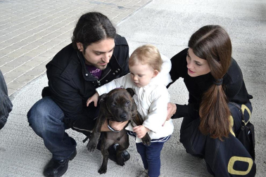 Este domingo se celebró en la terraza exterior del Centro Comercial Itaroa el I Concurso Canino de Navarra, con la participación de 29 perros de diferentes razas.