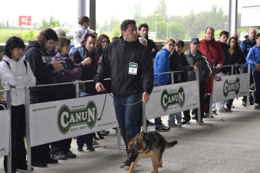 Este domingo se celebró en la terraza exterior del Centro Comercial Itaroa el I Concurso Canino de Navarra, con la participación de 29 perros de diferentes razas.