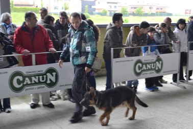 Este domingo se celebró en la terraza exterior del Centro Comercial Itaroa el I Concurso Canino de Navarra, con la participación de 29 perros de diferentes razas.