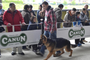 Este domingo se celebró en la terraza exterior del Centro Comercial Itaroa el I Concurso Canino de Navarra, con la participación de 29 perros de diferentes razas.