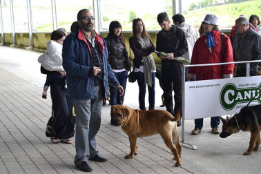 Este domingo se celebró en la terraza exterior del Centro Comercial Itaroa el I Concurso Canino de Navarra, con la participación de 29 perros de diferentes razas.