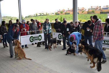 Este domingo se celebró en la terraza exterior del Centro Comercial Itaroa el I Concurso Canino de Navarra, con la participación de 29 perros de diferentes razas.