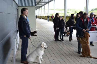 Este domingo se celebró en la terraza exterior del Centro Comercial Itaroa el I Concurso Canino de Navarra, con la participación de 29 perros de diferentes razas.