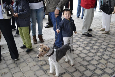 Este domingo se celebró en la terraza exterior del Centro Comercial Itaroa el I Concurso Canino de Navarra, con la participación de 29 perros de diferentes razas.
